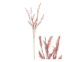 Stem Maiden Silvergrass 10x10x60cm Light Pink
