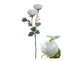 Flowerstem Rose Double 8x8x46cm White