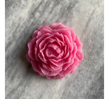 Roos amberblok deluxe 8x8x3,5cm - magnolia