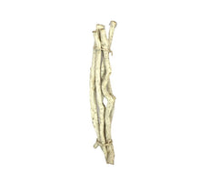 Branch liane 55-58cm 5pc white wash
