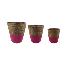 S/3 Pot Jardim w/Plastic D30 H35cm Fuchsia