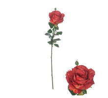 Flowerstem Ireland Rose D11 H66cm Red