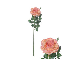 Flowerstem Ireland Rose D11 H66cm Salmon