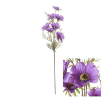Flowerstem Cosmos 72cm Lilac