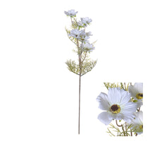 Flowerstem Cosmos 72cm White