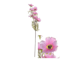 Flowerstem Cosmos 72cm Pink