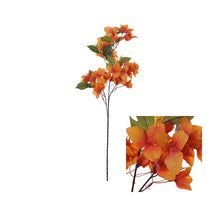 Flowerstem Bougainvillea D20 H76cm Orange