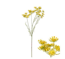 Flowerstem Fennel 18x7x61cm Yellow