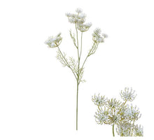 Flowerstem Fennel 18x7x61cm White