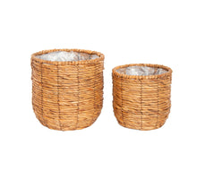 S/2 Pot Hamilton Grass D25 H19cm Light Brown