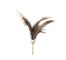 pb. 24 pheasant/sticks natural 22,5 cm