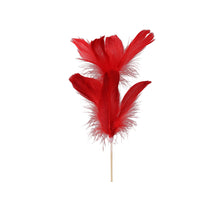 pb. 12 goose feathers/stick red 72 cm