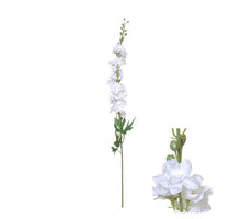 Flowerstem Delphinium D10 H80cm White