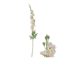Flowerstem Delphinium D10 H80cm Cream
