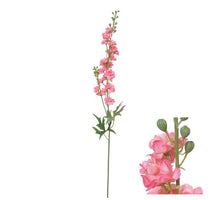 Flowerstem Delphinium D10 H80cm Pink
