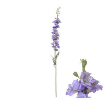 Flowerstem Delphinium D10 H80cm Purple