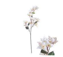 Flowerstem Bougainvillea D20 H76cm White