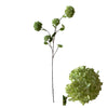 Flower Stem Hydrangea D20 H127cm Green