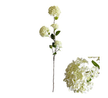 Flower Stem Hydrangea D20 H127cm White