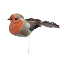 w/b. 6 birds/wire orange 9,5x3,5cm