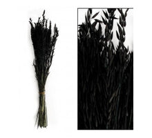 Bunch avena nature 66x18x4cm Black