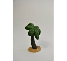 PALMBOOM M 5X5X9.2 CM