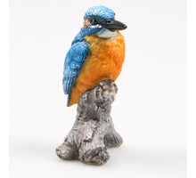 VOGEL IJSVOGEL OP STAM 7X7X11.5 CM - POLYESTER