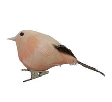 w/b. 8 birds/clip orange 10 cm