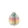 Rainbow Carambola vase L.12 x W.11.4 x H.15.2 cm