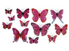 pb. 12 butterflies/magnet d. pink ass.