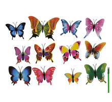 pb. 12 butterflies/stick ass.