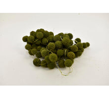 Platan bal Bundle Poly Bag 250 Gr. MOSS GREEN