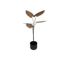 Calathea in Pot Metal 67x76x120cm Antique Gold