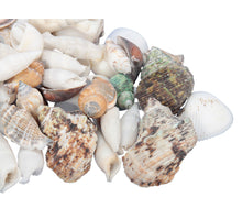 Schelpen mix medium 1 kg