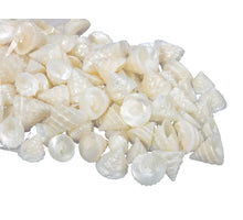 pb. 500 gr. Echinellopsis natural ass.