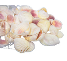 pb. 1 kg. cardium flavus natural ass.