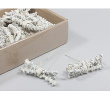 Banana stem white wash bundels op steker 30 stuks 10cm