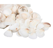 pb. 1kg white chippi natural