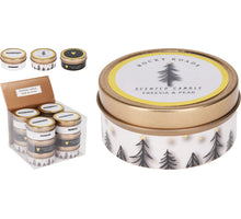GEURKAARS IN BLIK ''TREES'' D6 H3CM 3 ASSORTIE DESIGNS