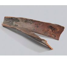 pc. 1 palm sing natural 50-60cm
