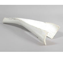pc. 1 palm sing white 50-60cm