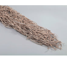 pb. browny bark white brush 95-105 cm (400 gr.)