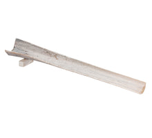 pc. 1 palm sing stem w/1 leg white brush 50cm