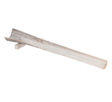 pc. 1 palm sing stem w/1 leg white brush 80cm