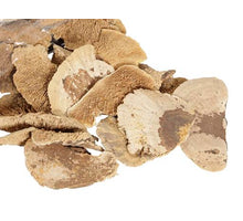 pb. sponge mushroom (8-10cm) natural 500 gr