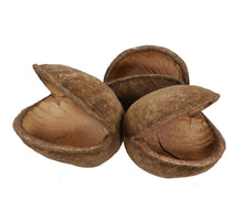 pb. 8 pcs budha nut natural