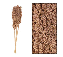 Indian corn 70cm 3pc poly WW/Soft pink