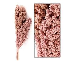 Indian corn nature 70cm 3pc Old pink-wash