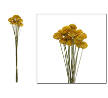 Black daisy 20pc 40cm Yellow