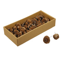 w/bs. 40 pcs sun mushroom/wire 10cm natural